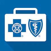Blue Cross Blue Shield of SC - Blome Agency