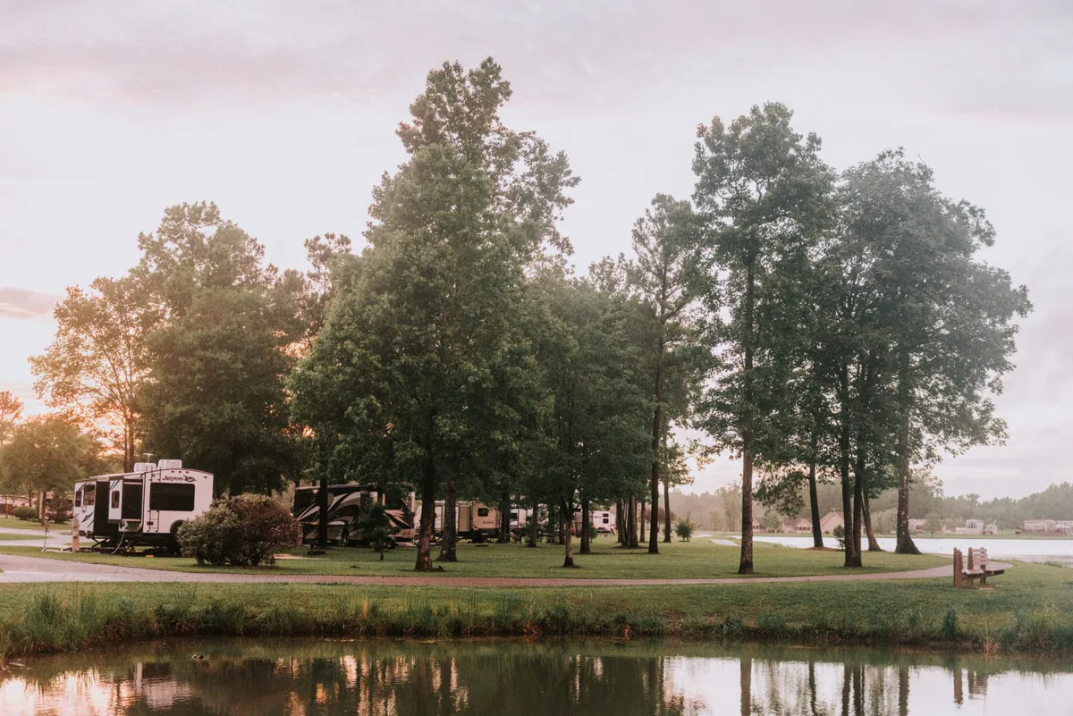 Willow Tree Resort