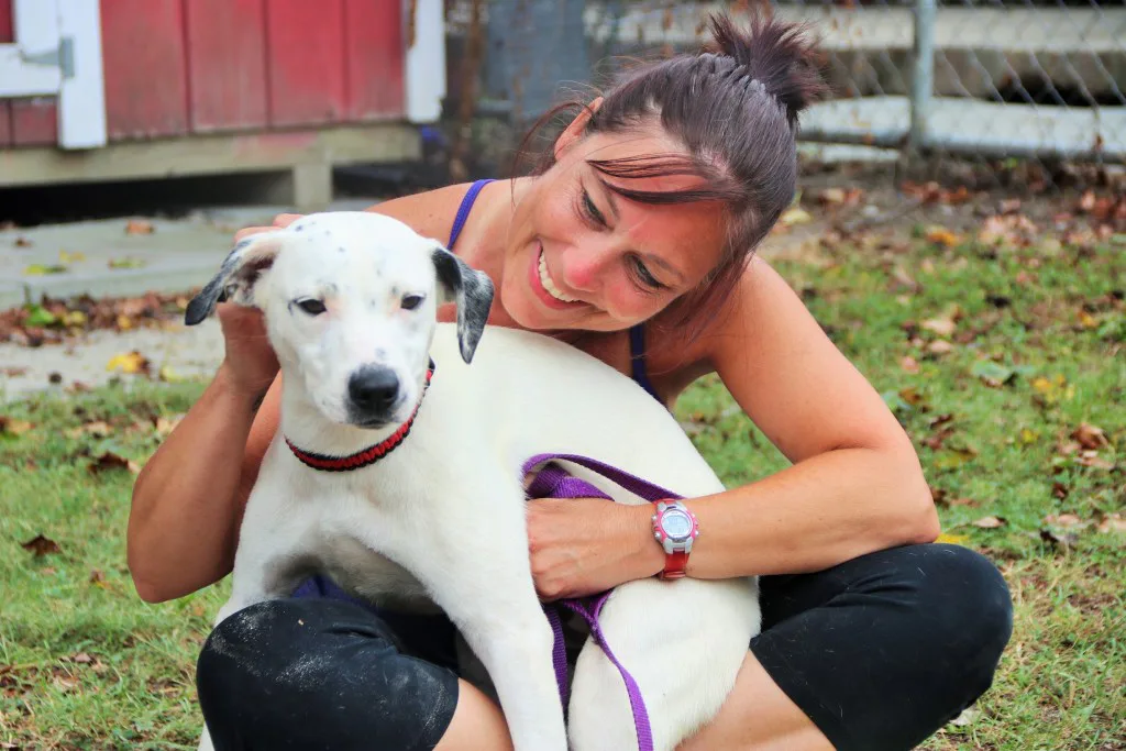 The Humane Society of NMB