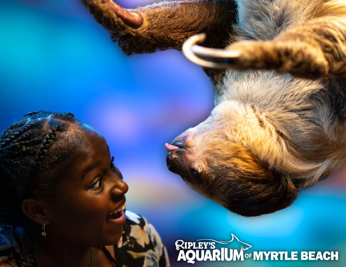 Ripley's Aquarium of Myrtle Beach
