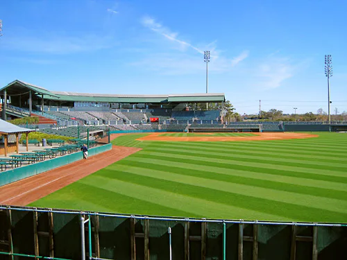 Myrtle Beach Pelicans